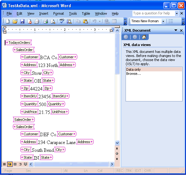 Open XML Data File in Microsoft Word