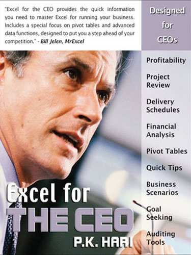 Excel for the CEO