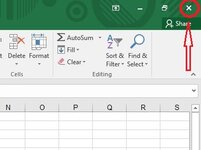 Excel (X) Button.JPG