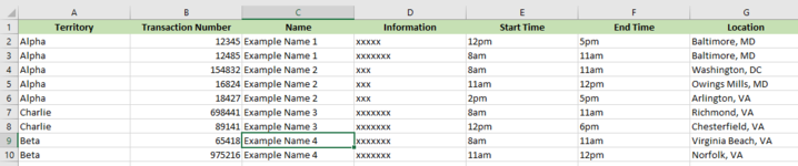 Excel Information Tab 1.PNG