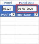 Panel Date No filter.jpg