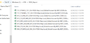 FDSS File format.PNG