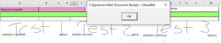 Valid Signature.PNG