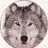 northwolves