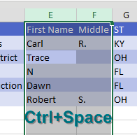 Ctrl + Space Bar to Select the Whole Column