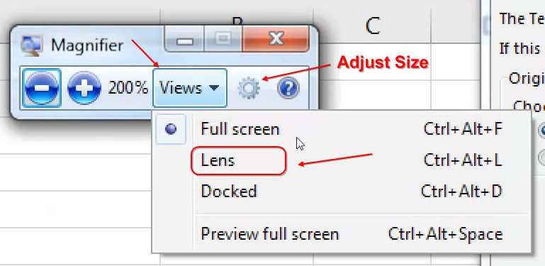 Adjust the magnifier settings