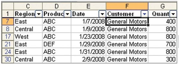 Figure 139. You can filter the data set to show only General Motors records.
