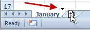 A close-up of a sheet tab called January. Ctrl+Drag the sheet tab to the right. The mouse cursor is a white arrow dragging a sheet with a Plus sign on the sheet. This means you are copying the sheet.