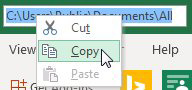 Add Document Location to the QAT. You can right-click and choose Copy.