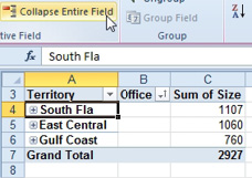 From the Terrtory field in column A, click Collapse Entire Field. You now have one row per territory and a Grand Total.