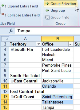Click on B13:B15 and B11 and Group Selection. This is grouping the three offices for Gulf Coast as well as Orlando from East Central.