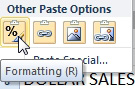 The Paste Options dialog offers a button for Formatting. 
