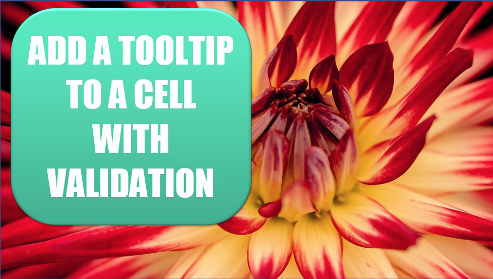 Add a Tooltip to a Cell with Validation. Photo credit: oldskool photography at Unsplash.com.