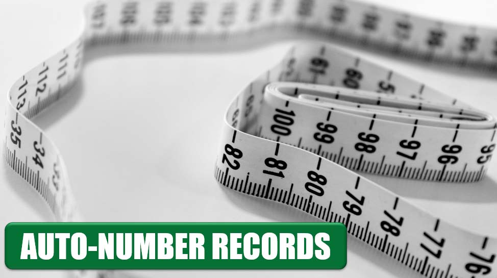Auto-number Records And Columns In An Excel Database