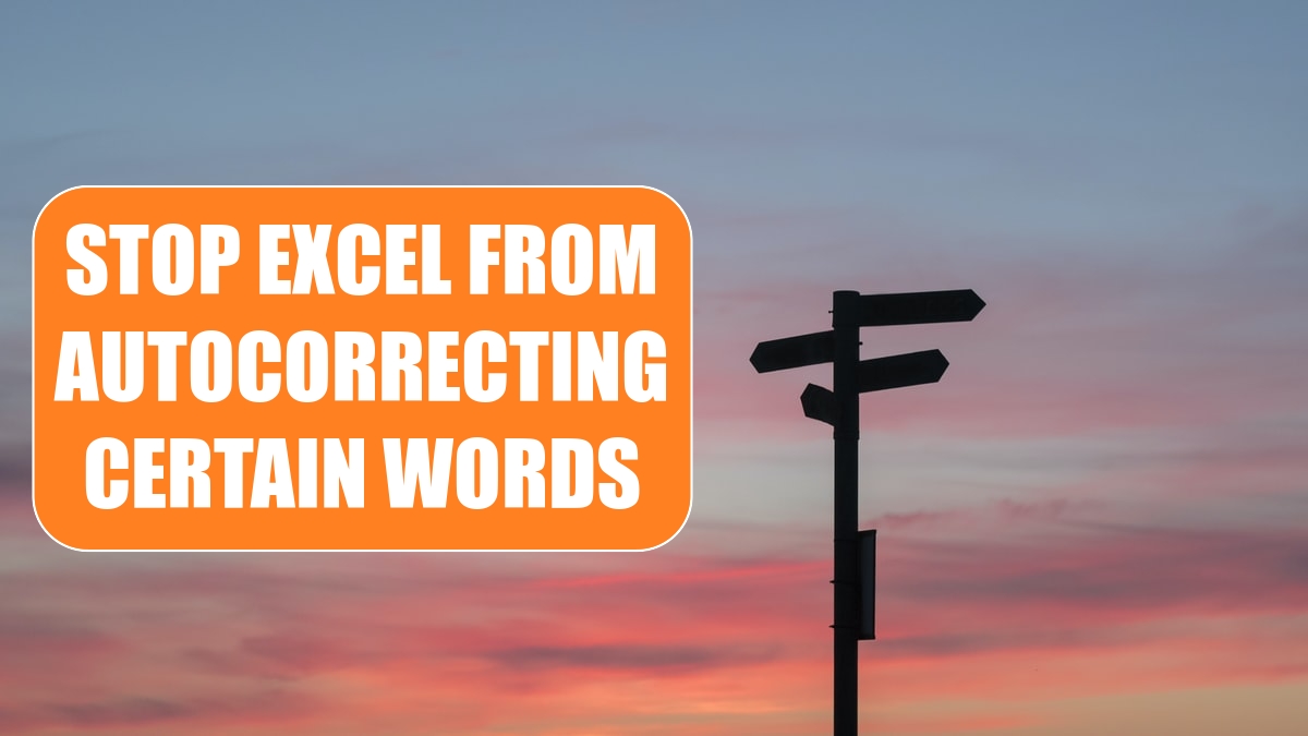 Stop Excel from AutoCorrecting Certain Words
