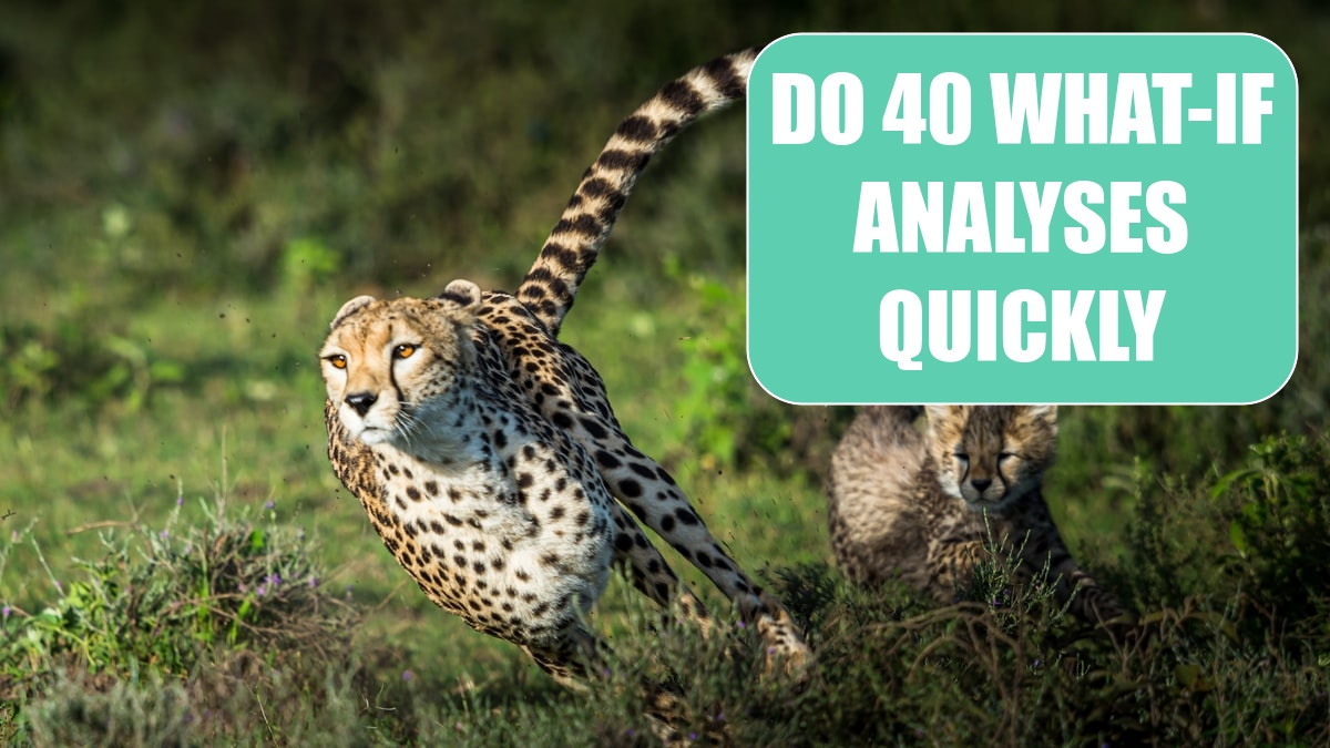 Do 40 What-if Analyses Quickly