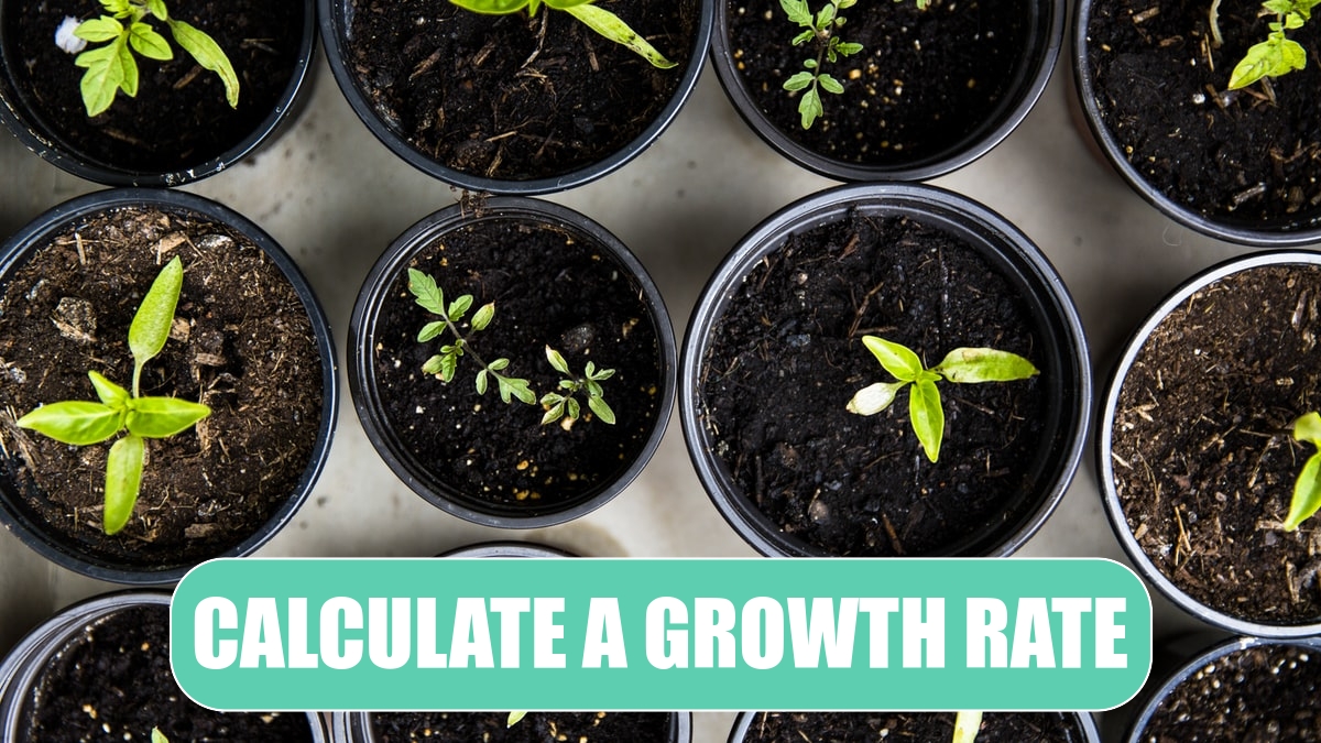 Calculate a Growth Rate