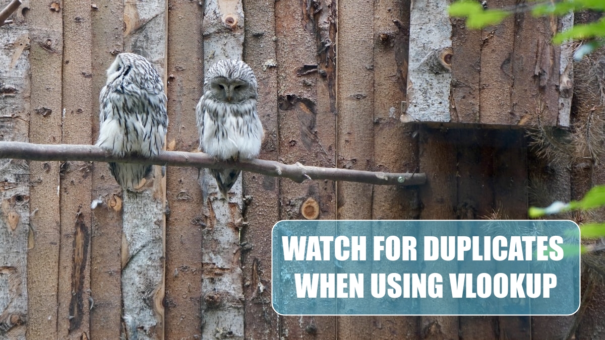 Watch for Duplicates  When Using VLOOKUP