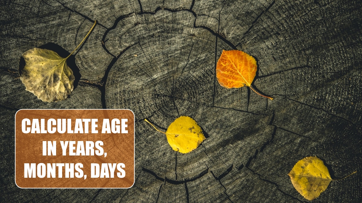 Calculate Age in Years, Months, Days