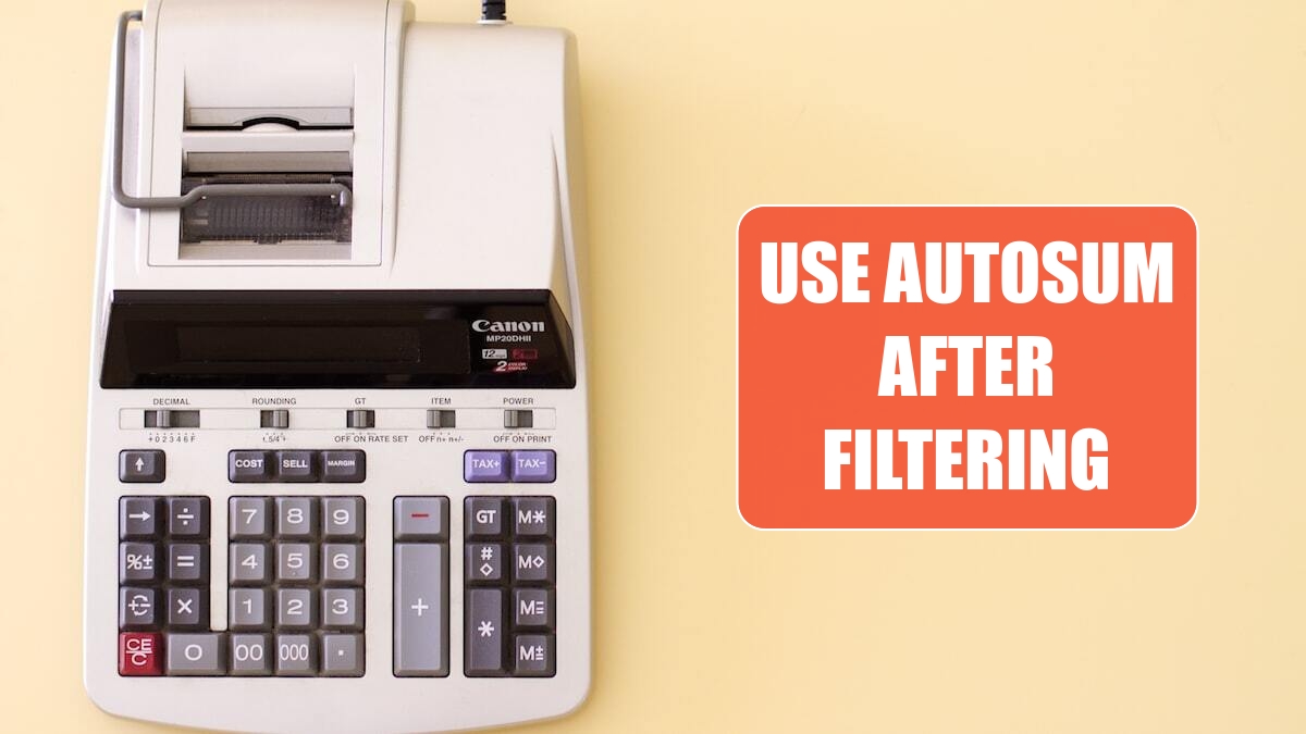 Use AutoSum After Filtering