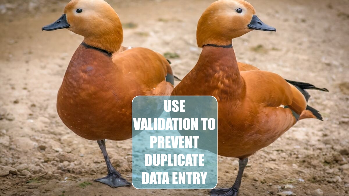 Use Validation to Prevent Duplicate Data Entry